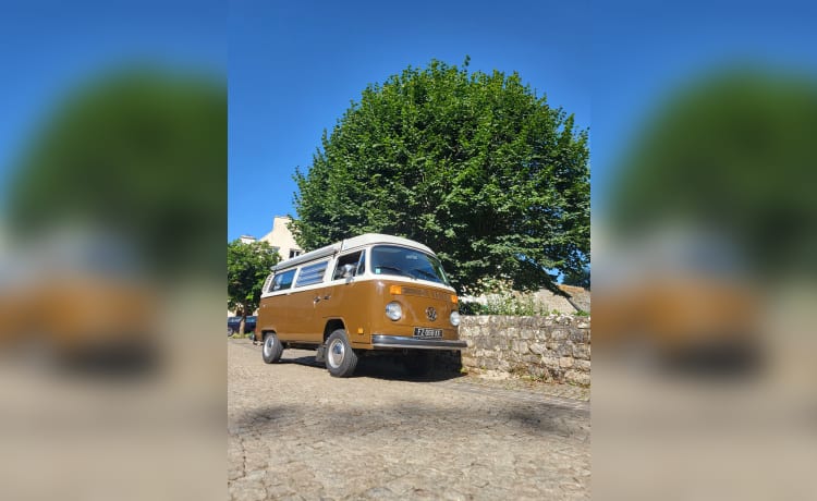 Avrel – Vintage Trip, combi westfalia 