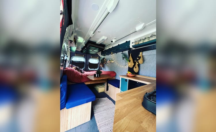 Oude ambulance camper bus 