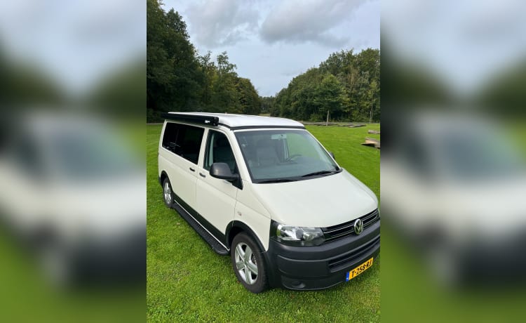 NIEUWE! 4p Volkswagen campervan uit 2004