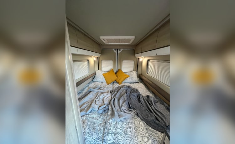 Wee Beastie – 2 Berth Luxury Campervan