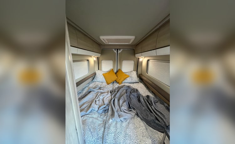 Wee Beastie – Autobus Roller Team a 2 posti letto del 2019