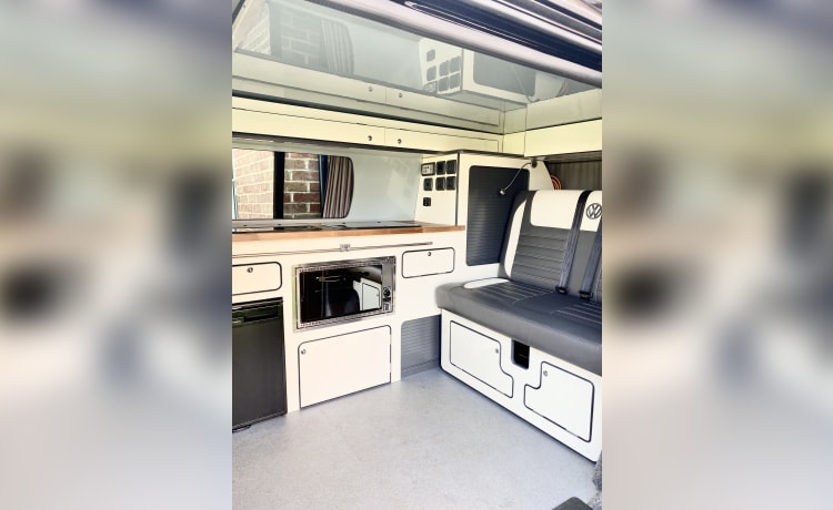 Camper VW T6.1 con 4 posti letto 