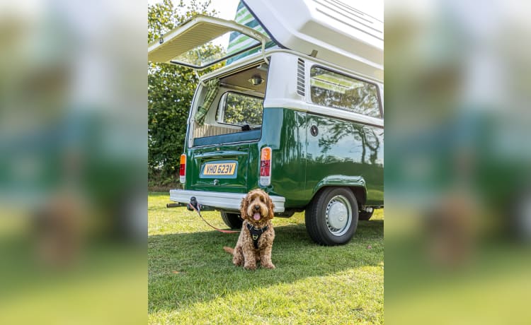 Monty – Monty - 4-persoons VW-campervan uit 1979  