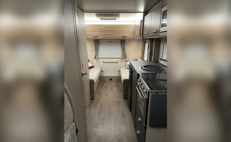 Abbot the Adventurer – 6 berth Swift alcove from 2021