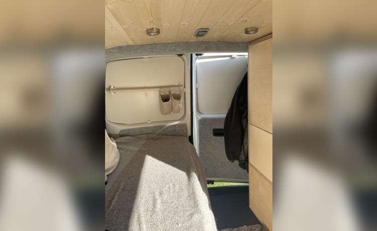 VW-canpervan met 2 slaapplaatsen - Scandi-stijl - 2018