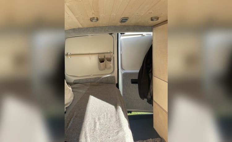 2 berth VW Scandi canpervan - 2018