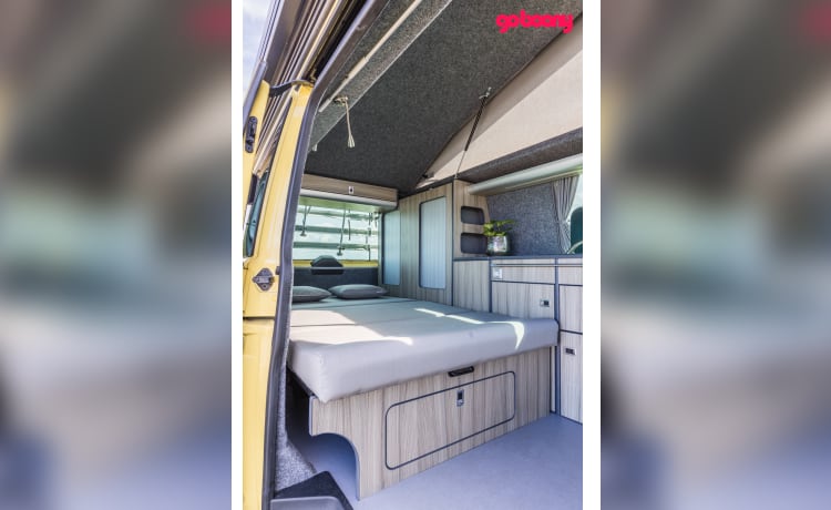 Sunny – 2er Volkswagen Bus von 2015