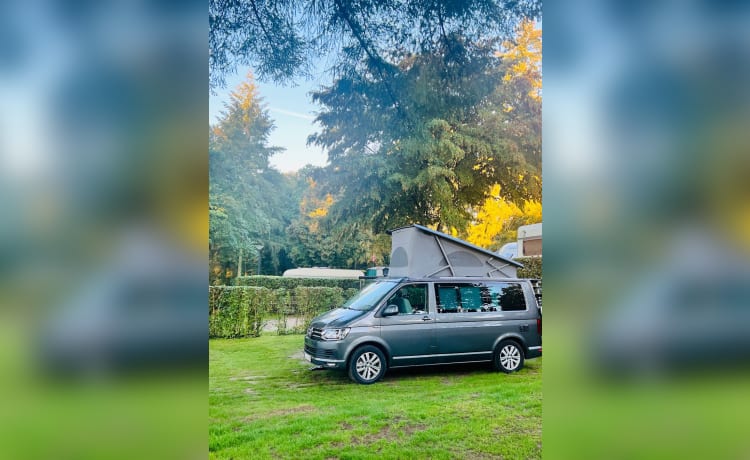  Camping-car Volkswagen 2020