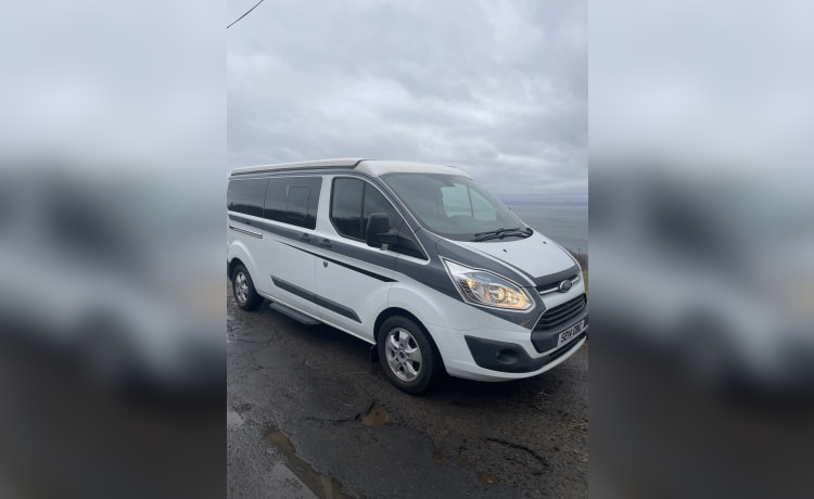 Tommy the Transit  – 4-persoons Ford campervan uit 2014