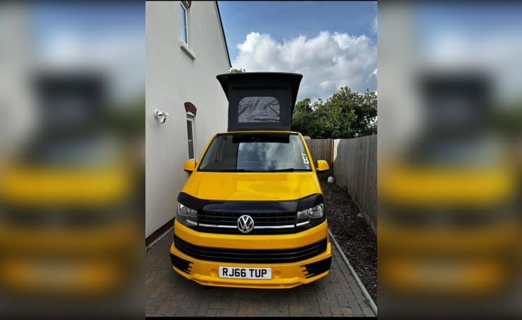 4 berth Volkswagen campervan from 2016