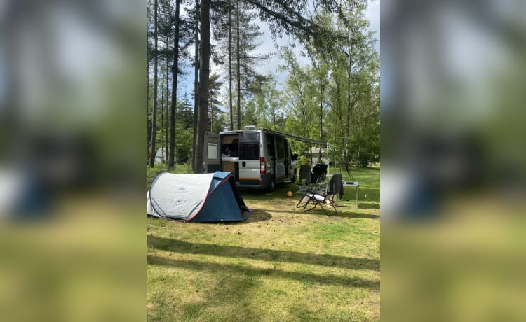 Schöner 2er-Dethleffs-Bus mit 160 PS