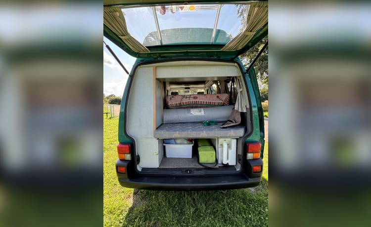 Gus the Bus – Compacte VW Westfalia