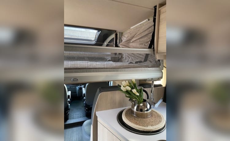 The Gilly – 4 berth Autotrail Motorhome from 2023