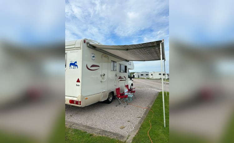 6 berth Ford semi-integrated from 2005