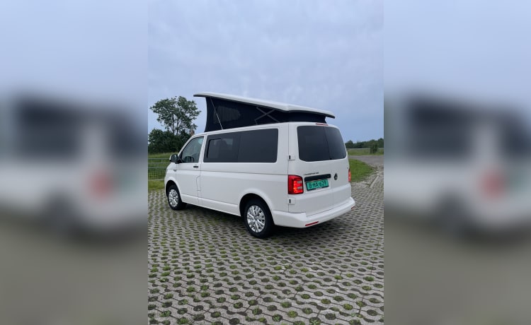 Volkswagen campervan uit 2018 inbouw 2024