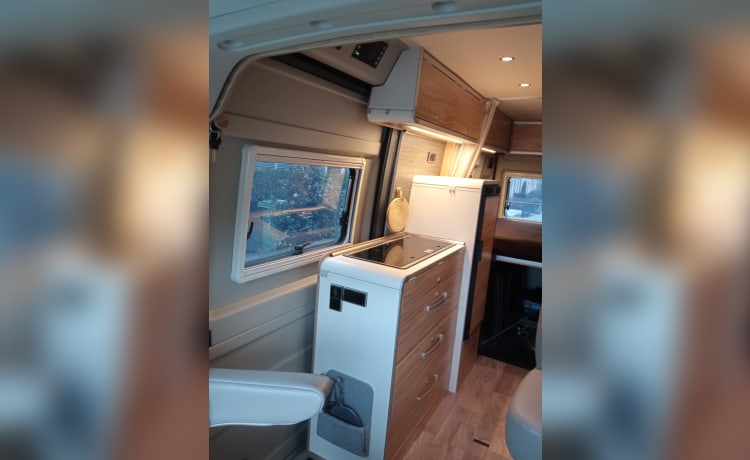 #BusBoaz – Hymer Grand Canyon - 4persoons buscamper - 2021