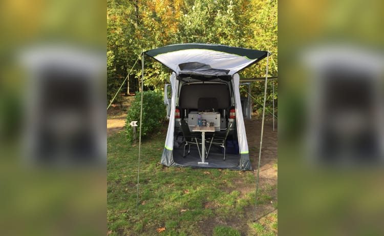 Silverstar – 4p Volkswagen campervan from 2011