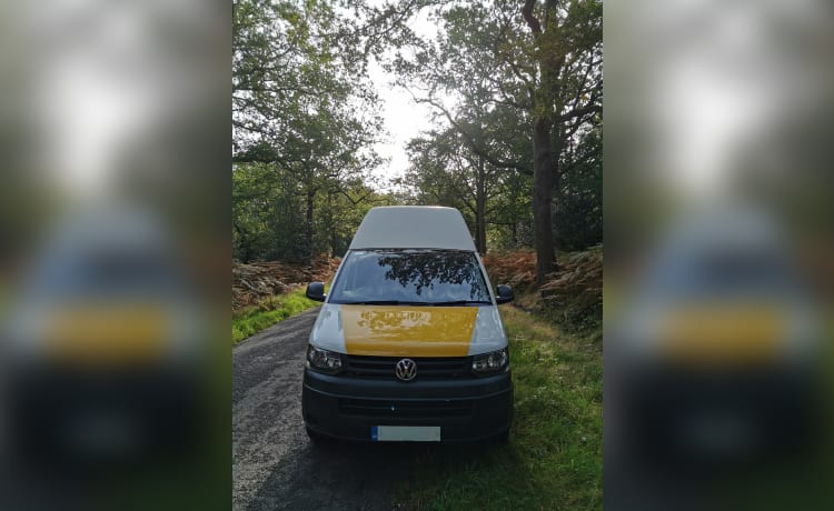 Sunny  – 4 berth Volkswagen campervan from 2015