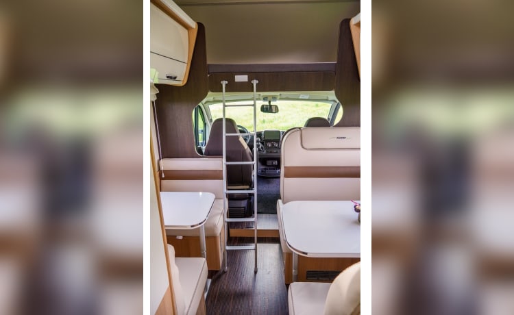 enjoycamper4 – FORSTER A699 DB ALKOVEN 6 PERSONEN IDEAL FÜR FAMILIEN