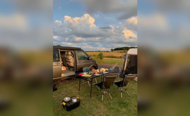 VanGlorious – VW California Ocean campers, East Midlands.