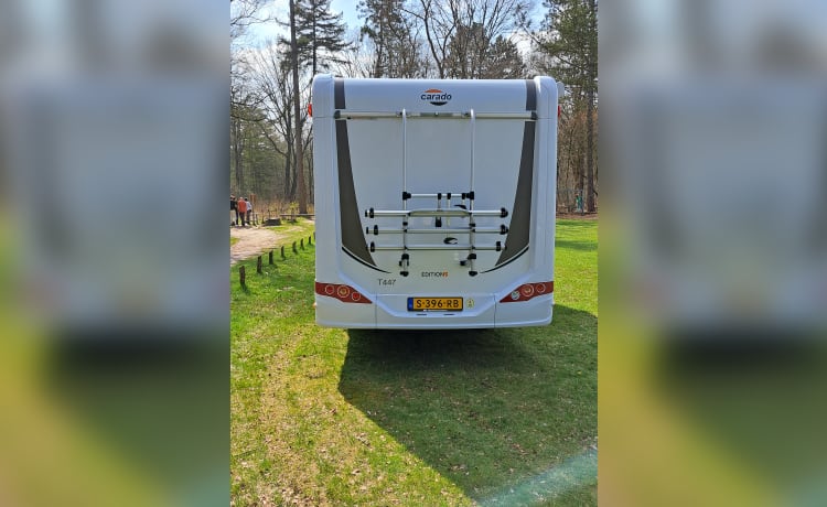 Wille – Camper familiare Hymer Carado per 4 persone quasi nuovo 