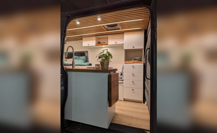 Muriël – Off-grid campervan met alle luxe