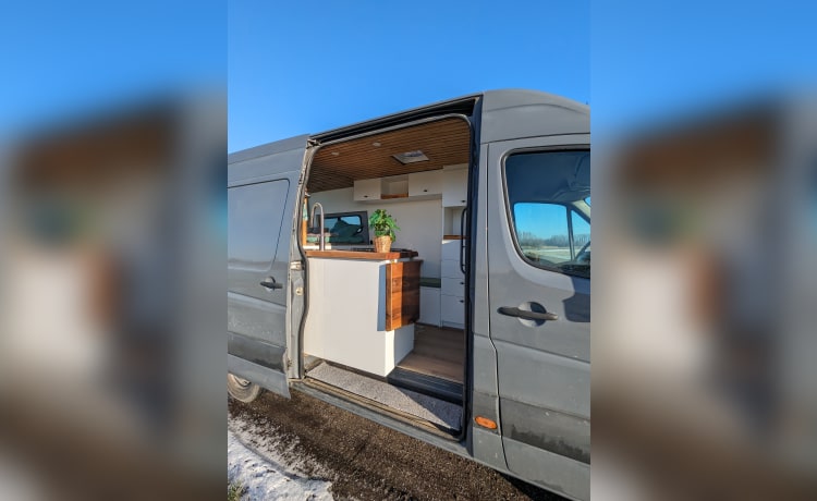 Muriël – Camping-car Volkswagen 2p de 2016