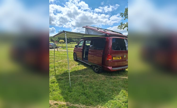 Boris – VW transporter 6.1 