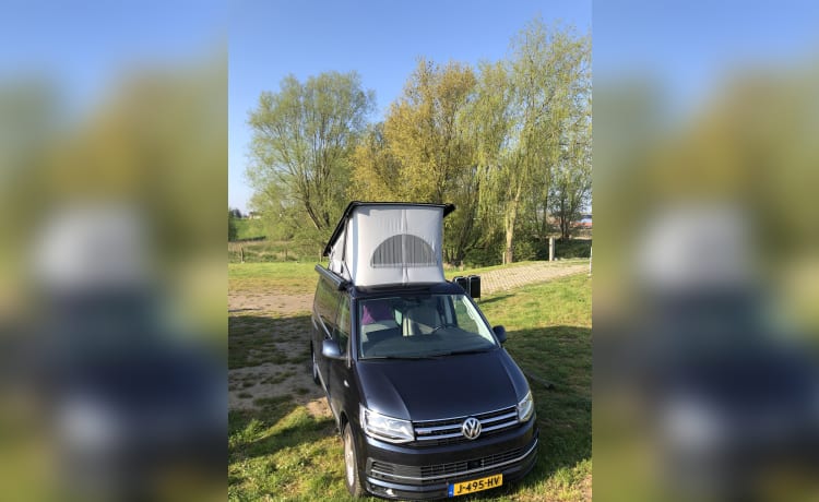 Binkie – Volkswagen T6 California Ocean 4-Motion-DSG-Automatikgetriebe