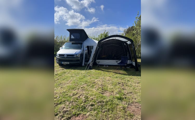 Camper Volkswagen a 4 posti letto del 2016