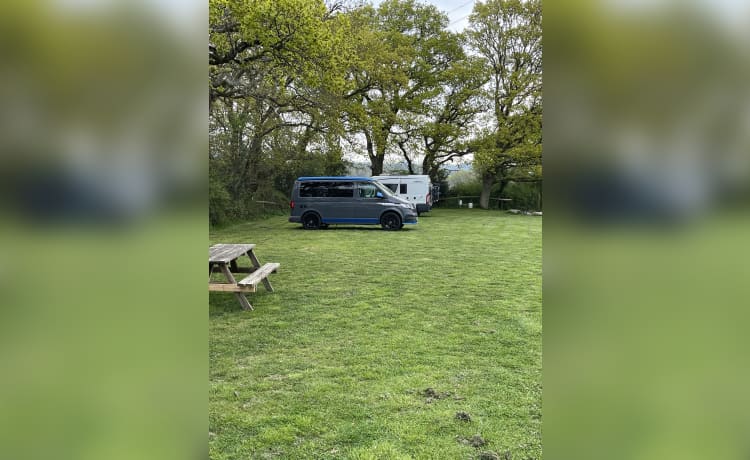 Camping-car Volkswagen 4 couchages de 2019