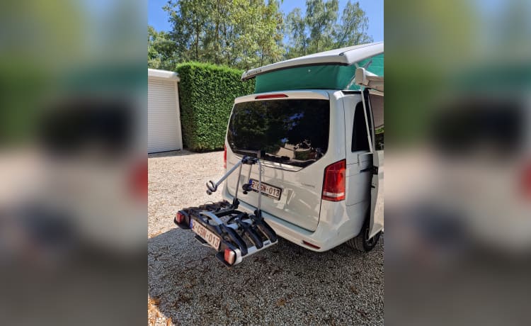 Ligne Mercedes Marco Polo 300D 4x4 AMG