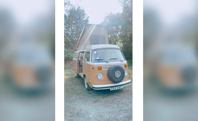 Ned – 4-persoons Volkswagen campervan uit 1979