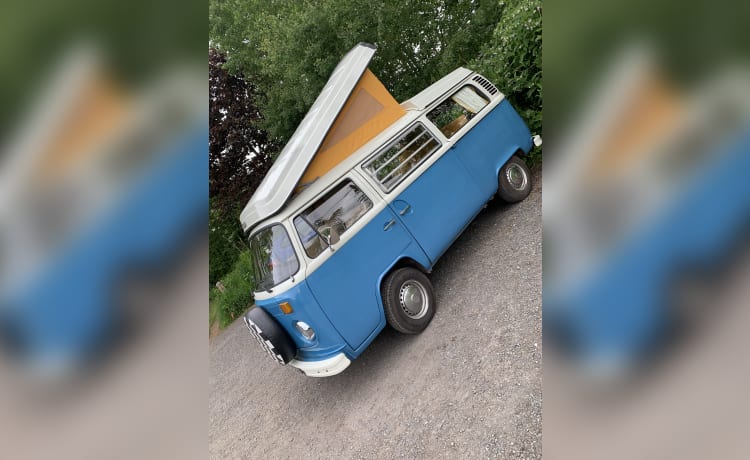 Bonnie – Autobus VW Westfalia