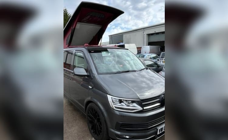 Carpe Diem – Carpe Diem in Warrington High Spec VW LWB Camper