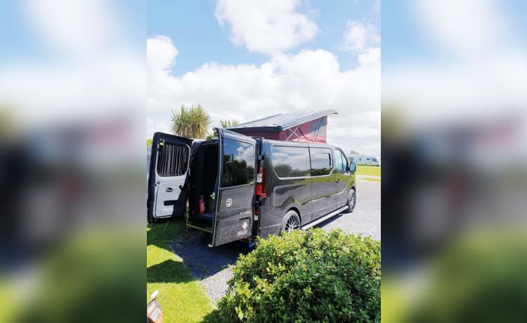 Vinny the Vivaro – 4 berth Other campervan from 2014