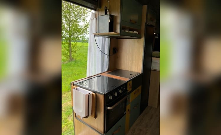 Heunie 1 – Beau camping-car bus avec 2 lits longitudinaux