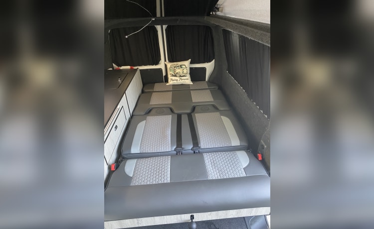 Paddy – 4 berth Volkswagen campervan from 2021