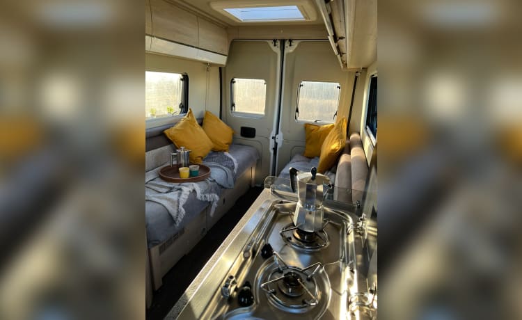 Wee Beastie – Roller Team-Bus mit 2 Schlafplätzen aus dem Jahr 2019