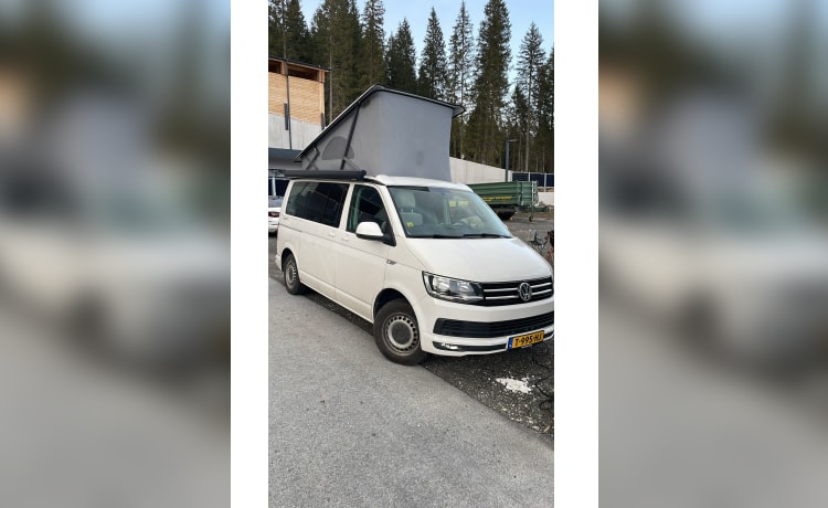 Cali  – Volkswagen California T6 (camper di fabbrica, originale)