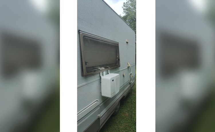 Billy – Alcôve Dethleffs (Fiat Ducato) de 1995