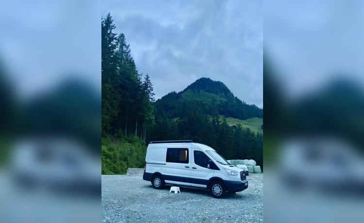 BAYVAN – BUCHT: Ford-Selbstbau-BUS – Sorgloses Off-Grid-Kameren