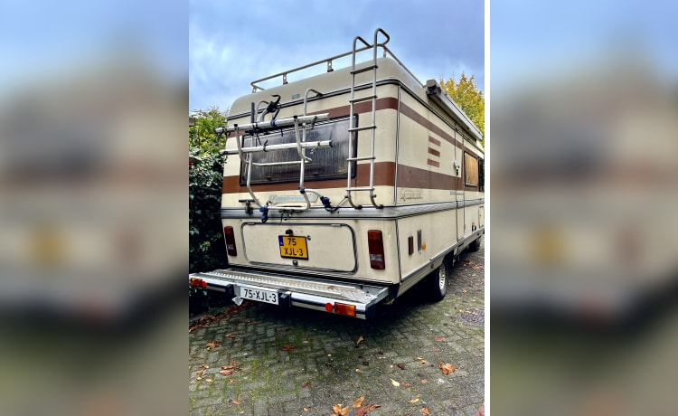 Bruine Beer – Hymer, klassieke Bruine Beer uit 1985 in top conditie