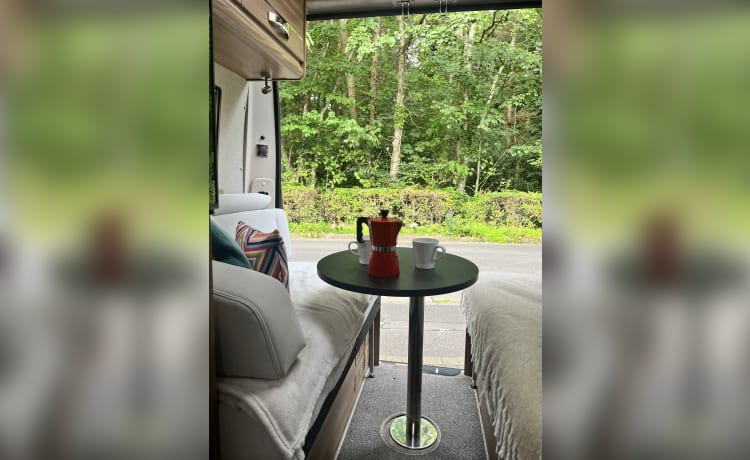 Bumble  – Swift-Bus mit 4 Schlafplätzen aus dem Jahr 2019