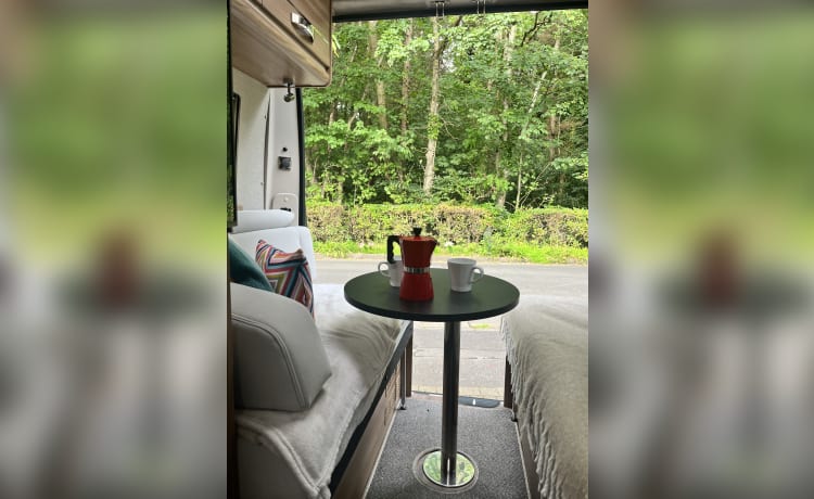 Bumble  – 4 berth Swift Select 184