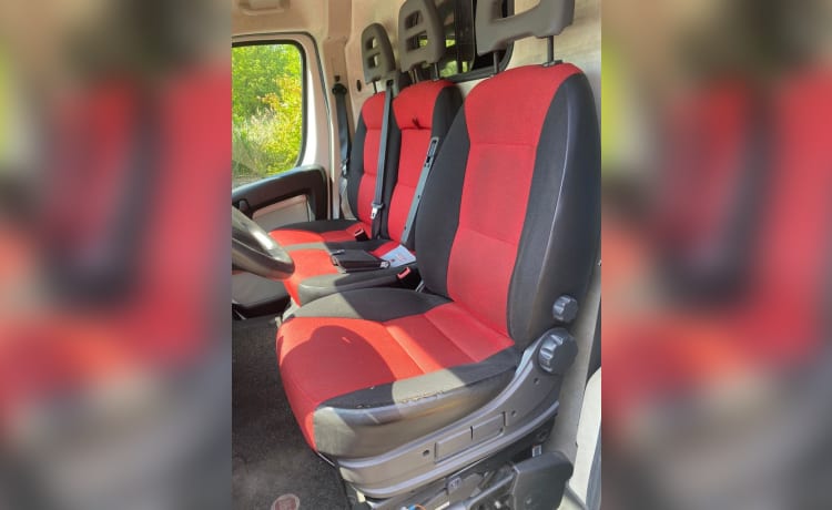 Autobus Fiat 2p del 2013