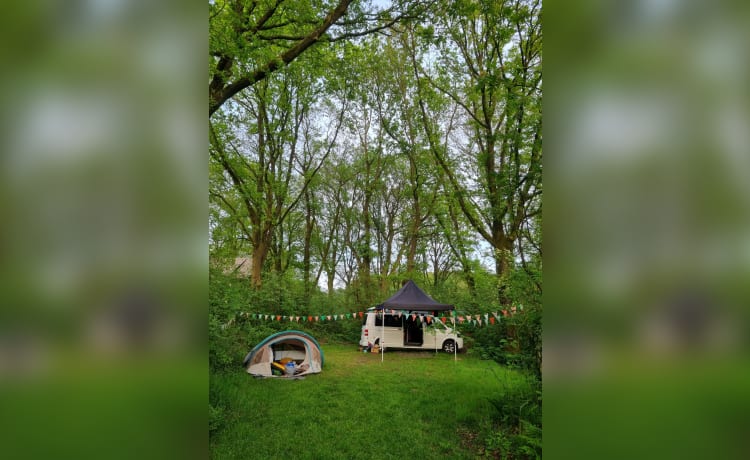 Kever – Onze mooie witte vw camper