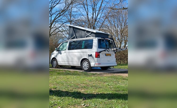 Bulli - Volkswagen California T6.1 Ocean