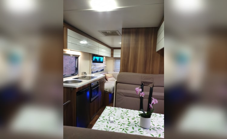 Rolly – 6 berth Roller Team alcove from 2015