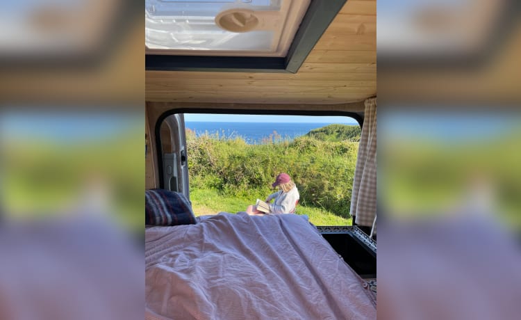 Sally – 2 berth Mercedes self-converted campervan, 2006